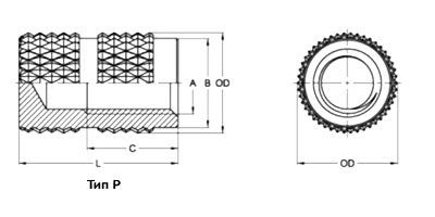   MoldFix  B  P   